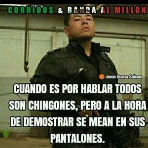 Meet your Posher, Samuel